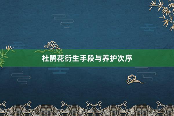 杜鹃花衍生手段与养护次序